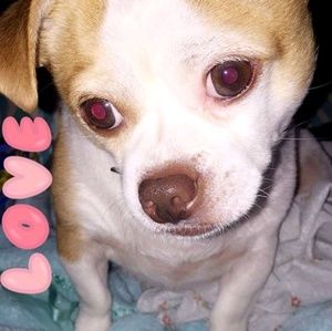 Meet your Posher, Bridget